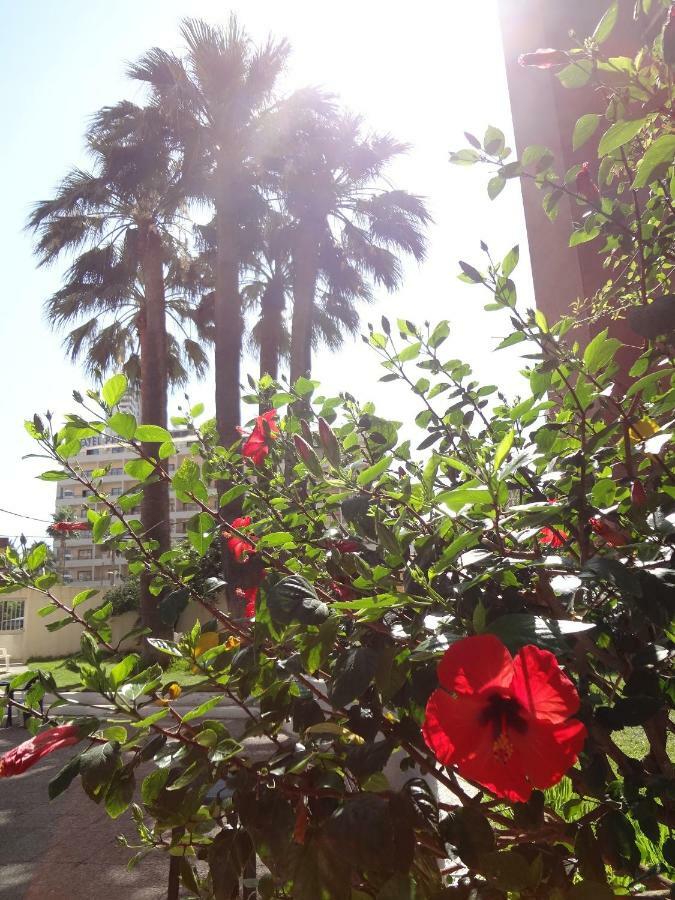 Best View - Welcome Penthouse Apartamentos Karola Μπένιντορμ Εξωτερικό φωτογραφία
